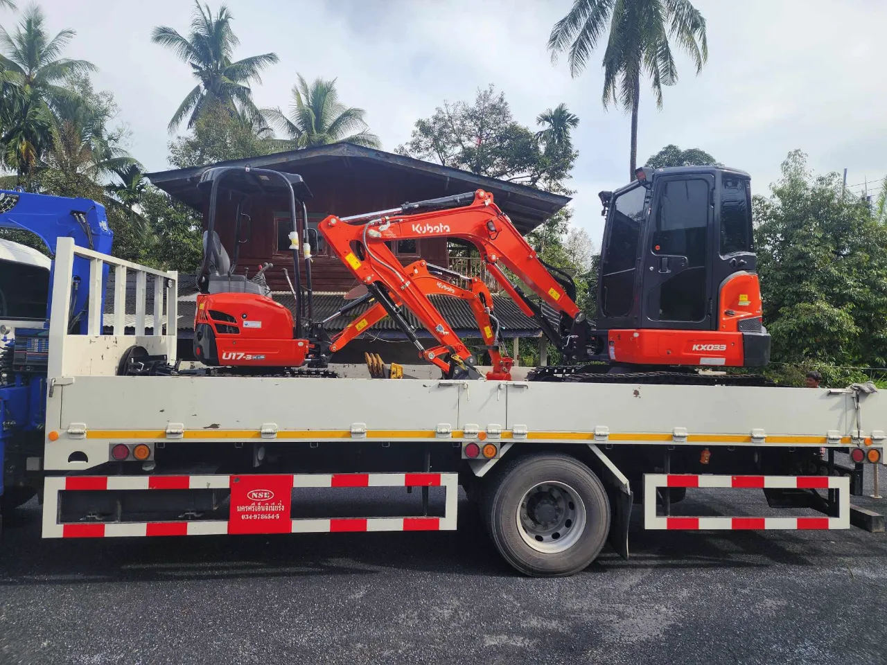 Tree Removal