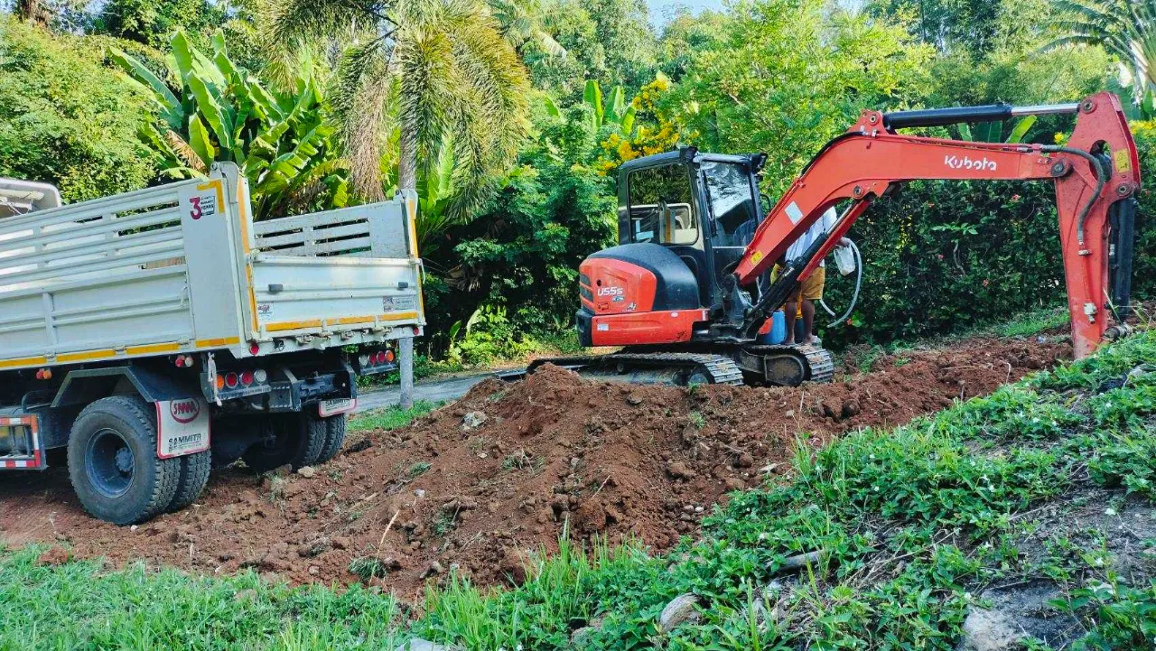 Tree Removal