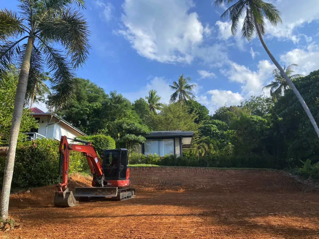 Tree Removal